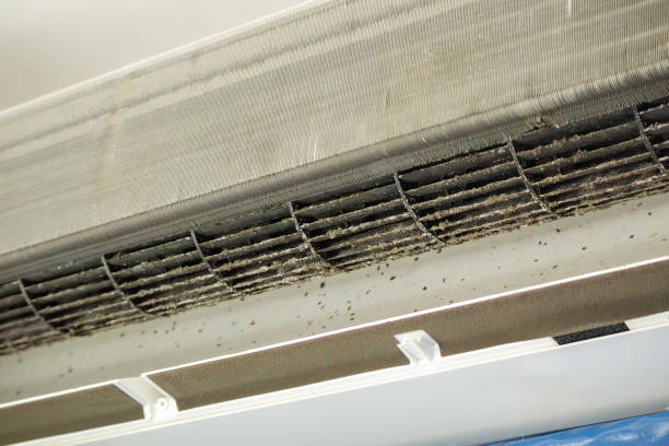 Best Ventilation Cleaning Services  in Archer, FL