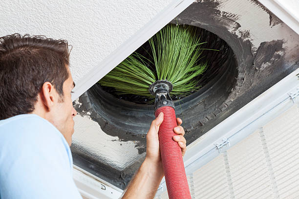 Best Professional Duct Cleaning Services  in Archer, FL